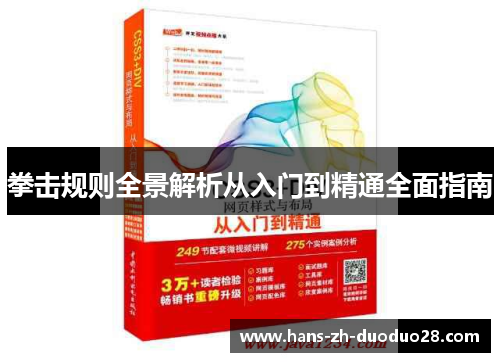 拳击规则全景解析从入门到精通全面指南