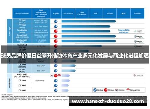 球员品牌价值日益攀升推动体育产业多元化发展与商业化进程加速 球员品牌价值日益攀升推动体育产业多元化发展与商业化进程加速