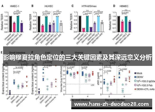 影响穆夏拉角色定位的三大关键因素及其深远意义分析 影响穆夏拉角色定位的三大关键因素及其深远意义分析