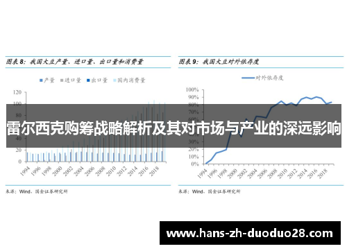 雷尔西克购筹战略解析及其对市场与产业的深远影响 雷尔西克购筹战略解析及其对市场与产业的深远影响